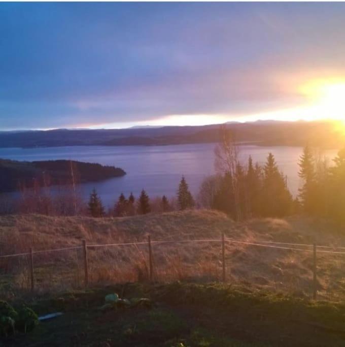 Guesthouse Hamran Mosvik Exterior photo